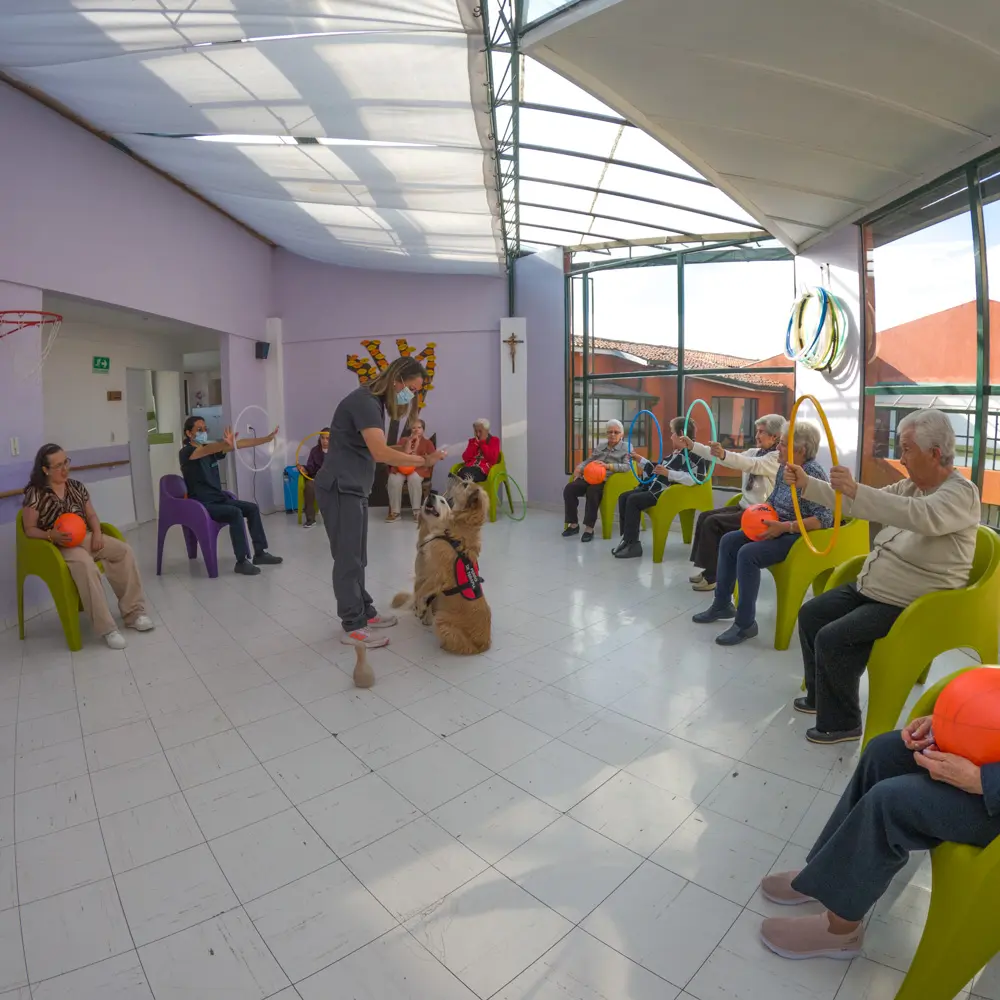 Terapia asistida con animales